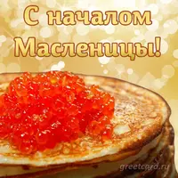 915805.webp