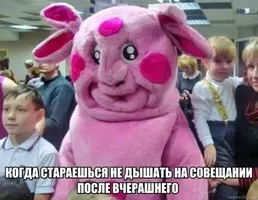 1740413840194375147.webp
