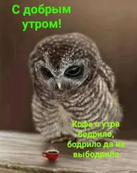 IMG_6023.webp