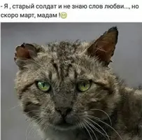 imgonline-com-ua-Resize-3W6ipF9bUaytXid.webp