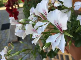 IMG_6756.webp