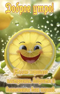 IMG_0640.webp