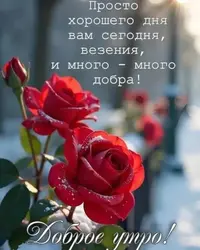imgonline-com-ua-Resize-90q8xgcVQ4NDhF.webp