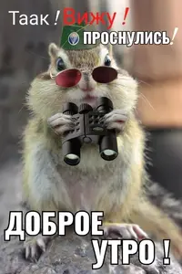 e4ba10be7c28beb83a6ccf1b1f701bf3.webp