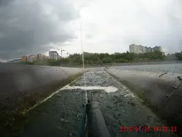 Без имени.webp