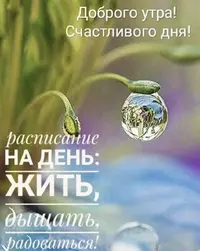 IMG_0660.webp