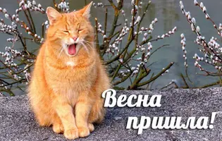 4ab5102b390ac2349e7b6b4d93b0.webp