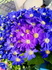 imgonline-com-ua-Resize-BsMPojsE5Dtft.webp