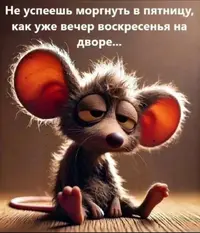 Screenshot_20250302_213349_WhatsApp.webp