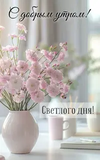 IMG_0732.webp