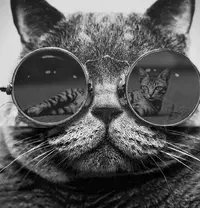 imgonline-com-ua-Resize-6qEtCMjwcFJ7Y.webp
