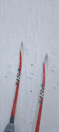 IMG_20250304_092215.webp