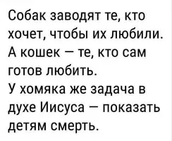 1000111048.webp