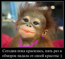1741230987388.webp
