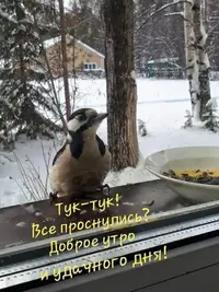 1000111120.webp