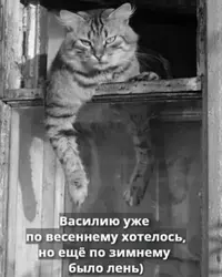 imgonline-com-ua-Resize-MblHIrdgTh3.webp