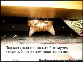 1000111259.webp
