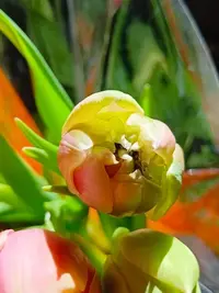 0308123630.webp