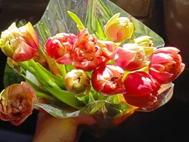 0308123659.webp