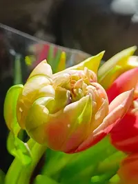0308123723.webp