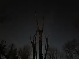 0308192121.webp