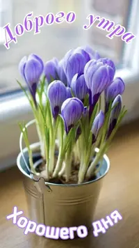 IMG_0945.webp
