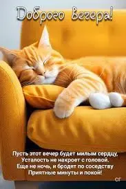 images.webp