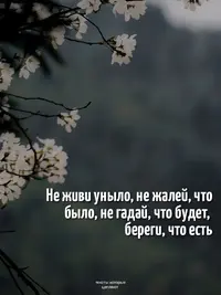 imgonline-com-ua-Resize-E6vzF68wzK5Zhf.webp
