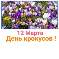 j5lYaNZRTHQ.webp