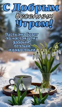 IMG_6278.webp