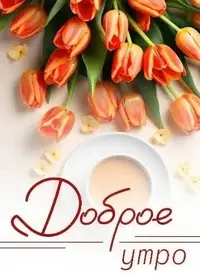 IMG_6286.webp