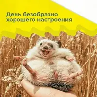 52a923ec2488d918534a06b76fdbdfa16c14cb6b8a8293981f1bc2392061d3c5.webp