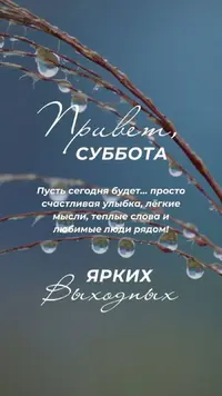 ee4a7ab7-04d4-4921-ad5e-e2cbd58440cd.webp