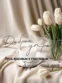 60266a52e25029e51a6f253377275272.webp