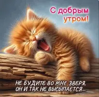 IMG_6311.webp