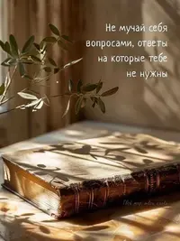 0316_072330_390.webp