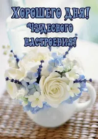 IMG_1113.webp