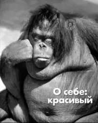 FB_IMG_1742123299955.webp