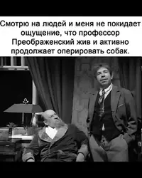 FB_IMG_1742165372248.webp