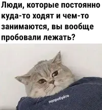 1742219807282.webp