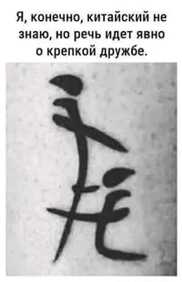 18426581.webp