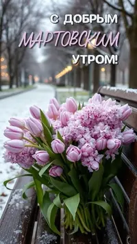 IMG_6336.webp