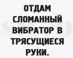 IMG_1153.webp