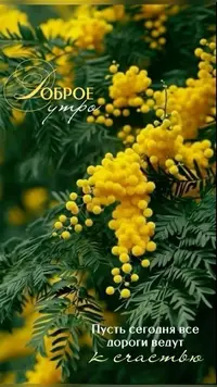 305_093147_703.webp