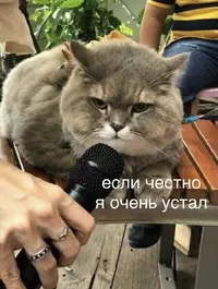 1742328931583.webp