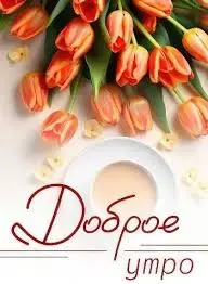 images-1.webp