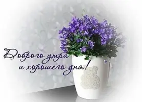IMG_6342.webp