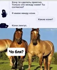 12.webp