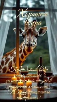 0320_203245_707.webp
