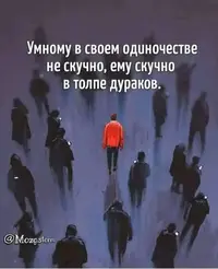 FB_IMG_1742503532766.webp